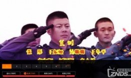 霹雳火全集在线观看