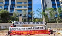 碧桂园爆料最新情况,揭秘项目进展与未来规划”