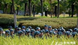青草在线观看网,探寻绿色生态的视觉盛宴