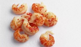 新闻爆料炸鸡块有寄生虫,食品安全引关注