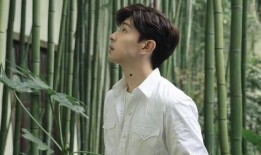 娱乐圈爆料肖战邓伦,真相与谣言的交织