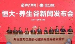 大宁地产爆料新闻报道,揭开行业黑幕，深度解析地产乱象