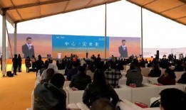 阜阳最新爆料深圳事件新闻,阜阳最新爆料揭示惊人内幕