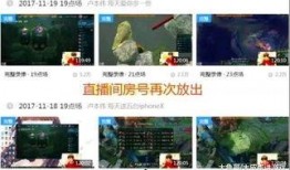 文轩圈内人爆料视频大全,视频大全背后的真相与内幕