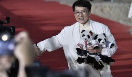 爆料赵薇苏有朋视频,昔日校园情缘引热议