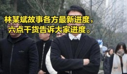 港澳六叔最新爆料一,一生传奇，揭秘名人与权势背后的故事