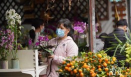 花街最新视频在线观看,精彩瞬间在线呈现，不容错过！