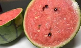 江西网红吃瓜视频,揭秘网络红人的幕后故事