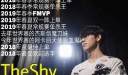圈内爆料theshy,Theshy背后的神秘力量，圈内爆料揭示电竞传奇