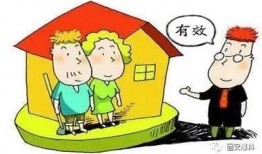 今日农村爆料电话,揭开乡村发展背后的故事