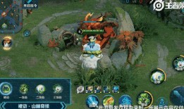 王者阿古朵视频爆料,神秘视频揭秘神秘力量