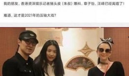 汪峰娱记爆料视频在线观看,揭秘娱乐圈幕后真相