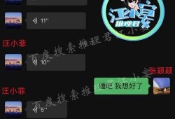 如何评价汪小菲爆料视频,真相与舆论的碰撞