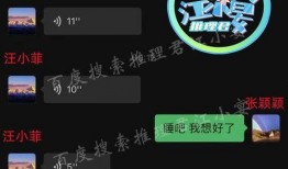 如何评价汪小菲爆料视频,真相与舆论的碰撞