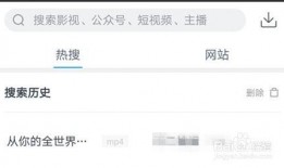怎样找到我爆料视频,如何轻松找到并生成我的爆料视频