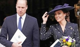 王室最新爆料新闻视频播放,最新爆料视频深度解析