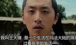 王大锤粉丝爆料视频,揭秘幕后精彩瞬间