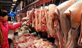 猪肉爆料视频大全最新,揭秘行业黑幕，守护餐桌安全