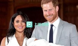 王室最新爆料新闻视频播放,最新爆料视频深度解析